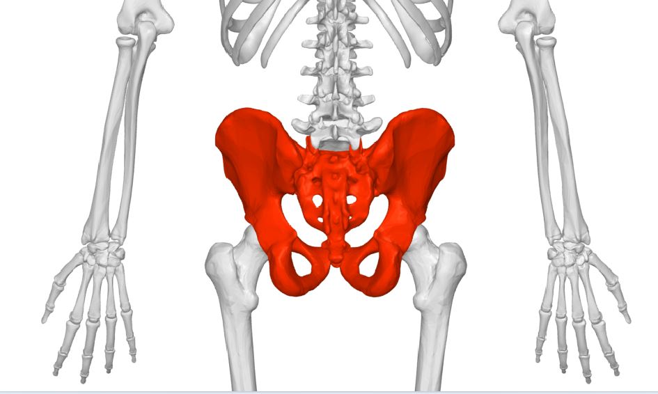 骨盤矯正八戸｜股関節が動きにくい症例