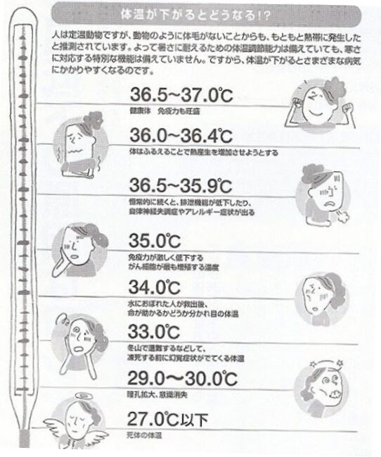 体温の表