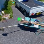 早い別れ