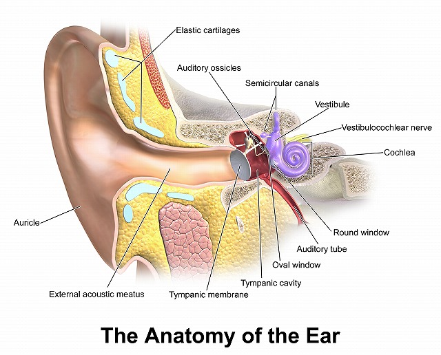 耳のトラブルとスピリチュアルな意味