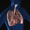 呼吸器系の病気ケガのスピリチュアルな意味と性格