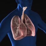 呼吸器系の病気ケガのスピリチュアルな意味と性格
