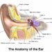 耳のトラブルとスピリチュアルな意味